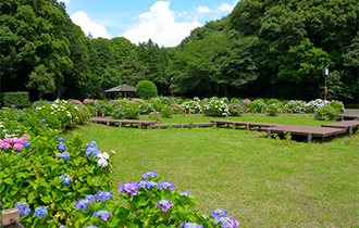 座間市イメージ